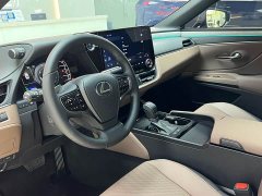 Lexus ES 300h Premium Edition - ფოტო 8