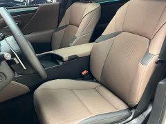 Lexus ES 300h Premium Edition - ფოტო 9