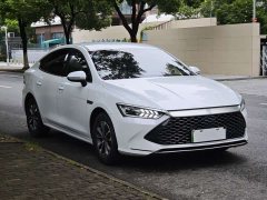 BYD Qin PLUS Glory Edition DM-i 55KM Leading - ფოტო 3