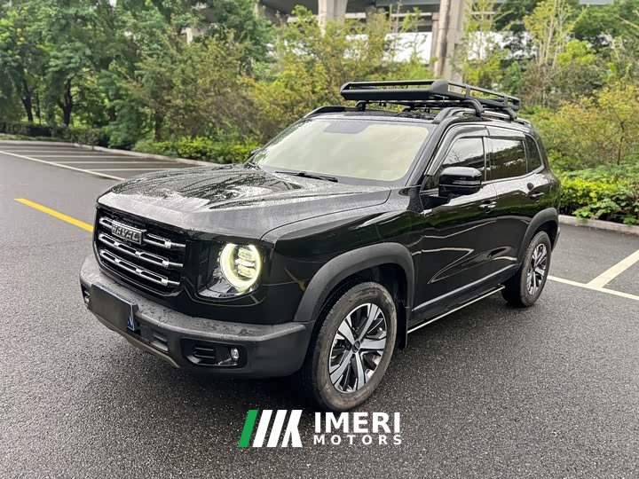 Great Wall Dachshund 1.5T DCT Two-Wheel Drive Labrador Edition - ავტომობილი ჩინეთიდან