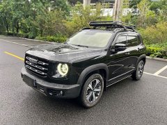 Great Wall Dachshund 1.5T DCT Two-Wheel Drive Labrador Edition - ფოტო 1