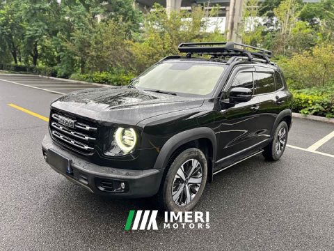 2021 Great Wall Dachshund 1.5T DCT Two-Wheel Drive Labrador Edition - ავტომობილი ჩინეთიდან