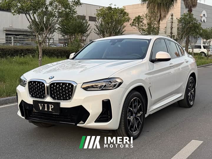BMW X4 xDrive 25i M Sport Package - ავტომობილი ჩინეთიდან