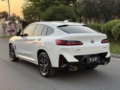 BMW X4 xDrive 25i M Sport Package - ფოტო 6
