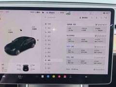Tesla Model 3 2020 Standard Range RWD Upgrade - ფოტო 9