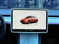 Tesla Model Y 2023 Rear-Wheel Drive - ფოტო 11
