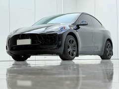 Tesla Model Y 2023 Rear-Wheel Drive - ფოტო 2