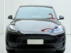 Tesla Model Y 2023 Rear-Wheel Drive - ფოტო 3