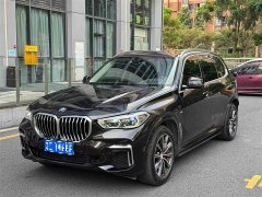 BMW X5 xDrive 30Li Luxury M Sport Package - ფოტო 1