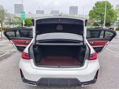 BMW 3 Series 320Li M Sport Package - ფოტო 8
