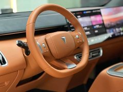 Deepal Deep Blue S09 Four-Wheel Drive Ultra Premium Edition - ფოტო 7
