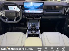 Jetour Jietu Shanhai T1 2024 150km Xianghai - ფოტო 10