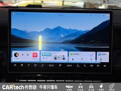 Jetour Jietu Shanhai T1 2024 150km Xianghai - ფოტო 16