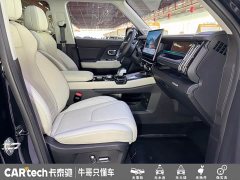 Jetour Jietu Shanhai T1 2024 150km Xianghai - ფოტო 17