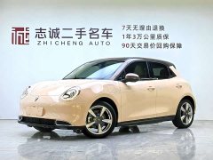 ORA Good Cat 2021 400km Standard Range Official Version Ternary Lithium - ფოტო 1