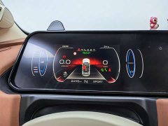 ORA Good Cat 2021 400km Standard Range Official Version Ternary Lithium - ფოტო 17