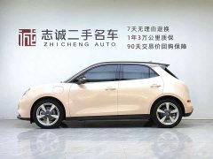 ORA Good Cat 2021 400km Standard Range Official Version Ternary Lithium - ფოტო 2