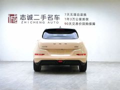 ORA Good Cat 2021 400km Standard Range Official Version Ternary Lithium - ფოტო 4