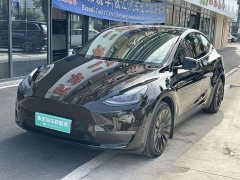 Tesla Model Y 2021 Standard Range RWD - ფოტო 1