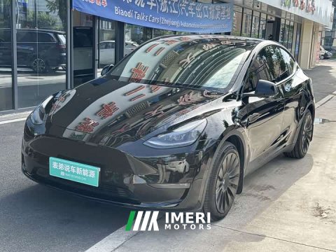 2022 Tesla Model Y 2021 Standard Range RWD - ავტომობილი ჩინეთიდან