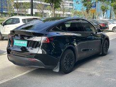 Tesla Model Y 2021 Standard Range RWD - ფოტო 4