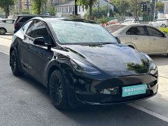 Tesla Model Y 2021 Standard Range RWD - ფოტო 6