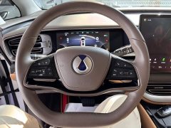 Denza BYD Denza D9 2022 DM-i 970 AWD Premium Edition - ფოტო 12