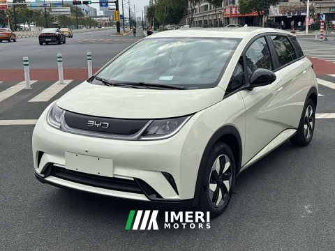 2026 BYD Dolphin 2025 420km Freedom Edition - ავტომობილი ჩინეთიდან