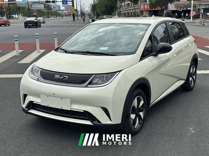 BYD Dolphin 420km Freedom Edition
