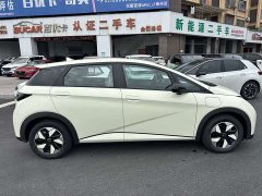 BYD Dolphin 2025 420km Freedom Edition - ფოტო 3