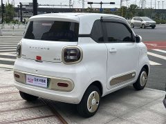 FAW Besturn Xiaoma 222km Lightning Edition - photo 4
