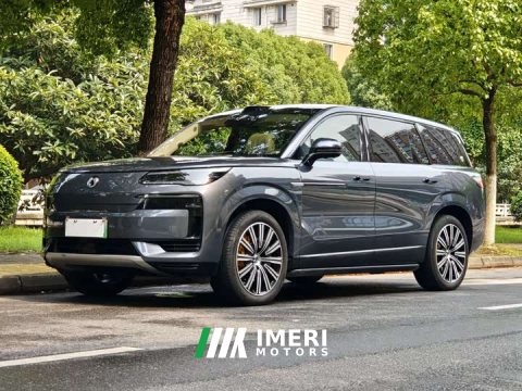 2025 Denza BYD Denza N9 Flagship - ავტომობილი ჩინეთიდან