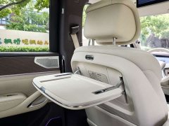 Denza BYD Denza N9 Flagship - ფოტო 10