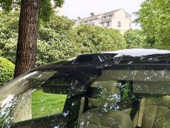 Denza BYD Denza N9 Flagship - ფოტო 5