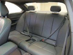 BMW 2 Series (Imported) 2019 225i Luxury M Sport Package - ფოტო 11