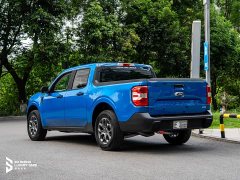 Deepal Maverick Lariat FX4 - ფოტო 10