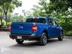 Deepal Maverick Lariat FX4 - ფოტო 11