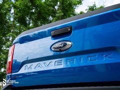 Deepal Maverick Lariat FX4 - ფოტო 7