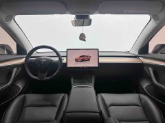 Tesla Model 3 Standard Range RWD Upgrade - ფოტო 2