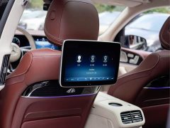 Mercedes-Benz Maybach GLS 480 4MATIC - ფოტო 13