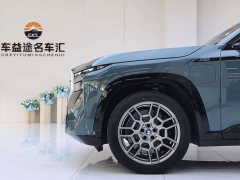 BMW XM 2023 50e - ფოტო 9