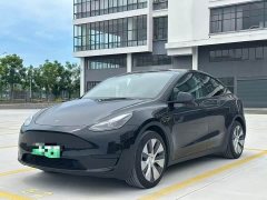 Tesla Model Y Rear-Wheel Drive - ფოტო 1
