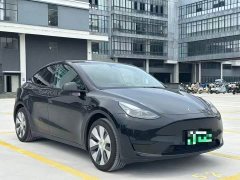 Tesla Model Y Rear-Wheel Drive - ფოტო 3