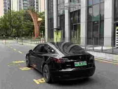 Tesla Model 3 2022 Rear-Wheel Drive - ფოტო 4