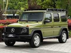 Mercedes-Benz G-Class 2025 G 450 d - ფოტო 1