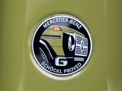 Mercedes-Benz G-Class 2025 G 450 d - ფოტო 15