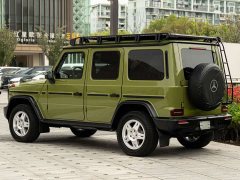 Mercedes-Benz G-Class 2025 G 450 d - ფოტო 17