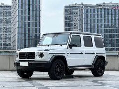Mercedes-Benz G-Class G 500 - ფოტო 1