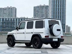 Mercedes-Benz G-Class G 500 - ფოტო 4