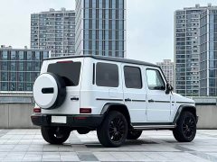 Mercedes-Benz G-Class G 500 - ფოტო 6